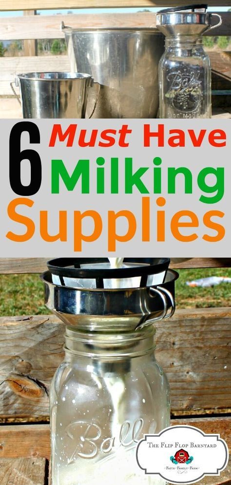 Goat Milking, Homesteading Animals, Goat Milk Recipes, Raising Farm Animals, Goat Care, Raising Goats, Dairy Goats, Mini Farm, Goat Farming