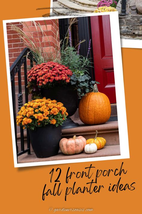 front porch fall planter ideas Faux Plants For Front Porch Fall, Porch Mums And Pumpkins, Mums Front Porch Fall Displays, Fall Outdoor Planter Ideas, Fall Containers Planters, Fall Planter Ideas, Fall Potted Plants, Mums And Pumpkins, Shade Plants Container