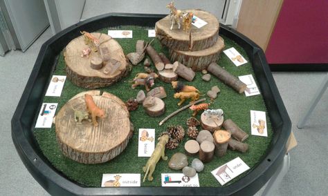 Positional language EYFS Positional Language Eyfs Activities, Positional Language Eyfs, Maths Nursery, Africa Activities, Math Wizard, Class Promise, Gruffalo Activities, Ece Activities, Dinosaur Small World