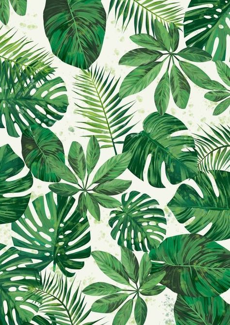 Iphone Wallpaper Tropical, Tropical Wallpaper, Plant Wallpaper, 수채화 그림, Tropical Art, Leaf Wallpaper, Tropical Pattern, Iphone Background Wallpaper, Plant Art