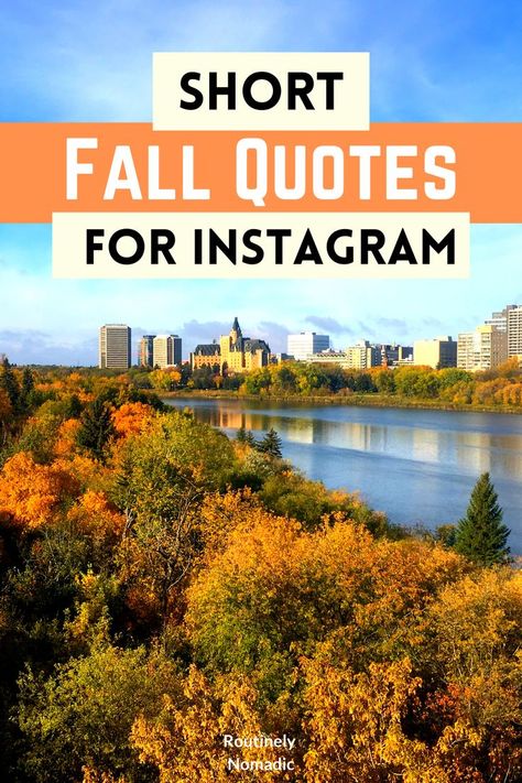 Changing fall leaves along a river in Saskatoon with the words short fall quotes for Instagram Fall Adventure Quotes, Autumn Days Quotes, Fall Weekend Quotes, Funny Fall Quotes Autumn, November Quotes Short, Fall Quotes And Sayings Instagram, Cute Fall Quotes Short, Fall Colors Quotes, Ready For Fall Quotes Funny