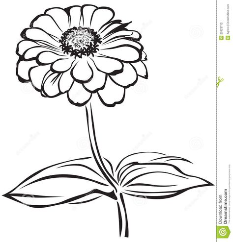 Zinnia tattoo in remembrance of my nephew Zinnia Tattoo Ideas, Zinnia Flowers Tattoo, Tattoo In Remembrance, Zinnia Tattoo, Flower Tattoo Simple, Shading Ideas, Friendship Tattoo, Zinnia Flower, Botanical Line Drawing