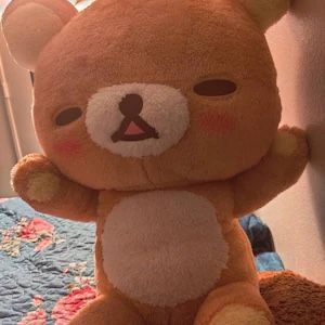 Rilakkuma Pfp Aesthetic, Rilakkuma Profile Picture, Rilakkuma Plushie Icon, Ralikkuma Bear, Rikkuma Pfp, Rillakuma Icon Png, Rilakkuma And Korilakkuma Matching Pfp, Pfp Rilakkuma, Aesthetic Rilakkuma