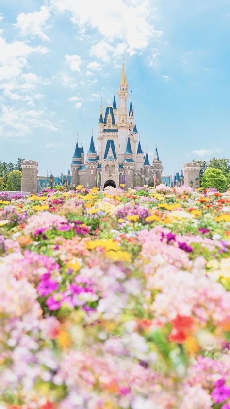 The Castle, Castle, Trees, On Twitter, Disney, Twitter, Flowers