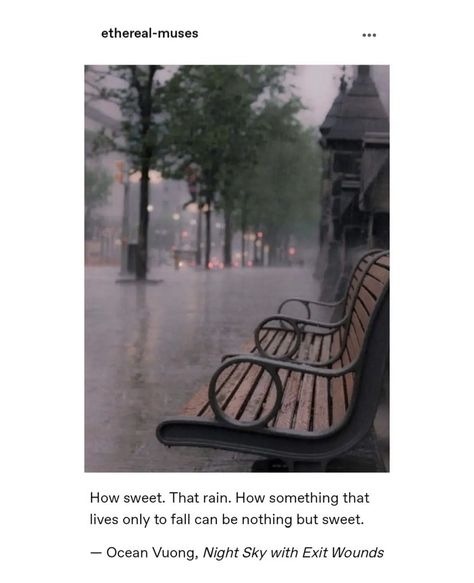 Beautiful Quotes On Rain, It Was Late August Quote, Muse Quotes, Rain Quotes, Poetic Quote, Words That Describe Feelings, Soothing Quotes, Postive Life Quotes, Quotes From Novels