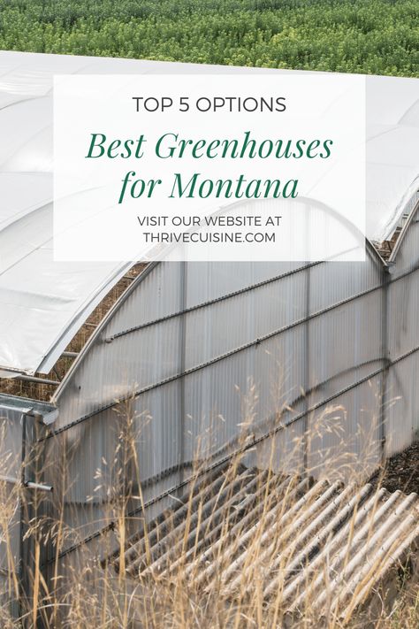 See the Best Greenhouses for Montana - Top 5 Options! Looking for greenhouse ideas for your home? Take a look at this list of greenhouse plans! Montana Winter, Best Greenhouse, Winter Greenhouse, Greenhouse Ideas, Polycarbonate Panels, Greenhouse Plans, Greenhouse Gardening, Greenhouses, Plant Needs