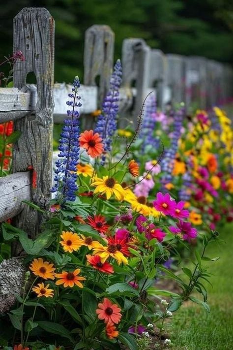 Flower Bed Against Fence, Flowerbed Along Fence, Rod Iron Fences, Make Quotes, Fence Flowers, When The Weather Is Nice, Rod Iron, Front Fence, Morning Photo