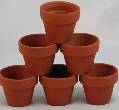 Mini clay pots Pot People Diy Terra Cotta, Mini Terra Cotta Pots, Mini Clay Pots, Growing Lemon Trees, Large Terracotta Pots, Handmade Clay Pots, How To Grow Lemon, Small Terracotta Pots, Flower Pot People