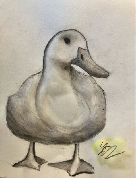 charcoal and graphite pencil gray black and white watercolor drawing of polite duck standing Black And White Watercolor, Duck Drawing, White Watercolor, Graphite Pencils, Watercolor Drawing, Pencil, Black And White, Drawings, Animals