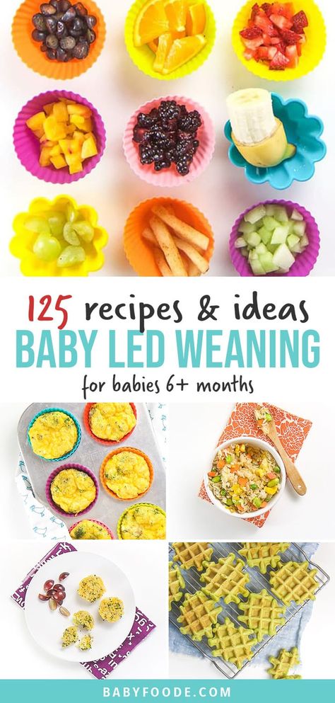 These 125 Baby Led Weaning Foods are going to be your ultimate guide if you are doing BLW with your baby! Filled with over 80 starter foods and 45 easy recipes that are perfect for baby 6 months and up! #babyledweaning #starterfoods #recipes #baby6months Babyledweaning 6 Months Recipes, 6 Month Blw Recipes, Blw First Foods 6 Months, Homemade Baby Snacks 6 Months, Blw Meals 6 Months, Blw 9 Months, Baby Leading Weaning Recipes, Baby Lunch Ideas, Blw Recipes 6 Months