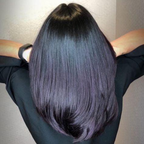 Blackberry Hair Color Dark, Blackberry Hair Color, Hair Color Ideas Balayage, Blueberry Hair, Blackberry Hair, Blackberry Hair Colour, 2024 Haircut, Dark Purple Hair Color, Winter Hair Color Trends