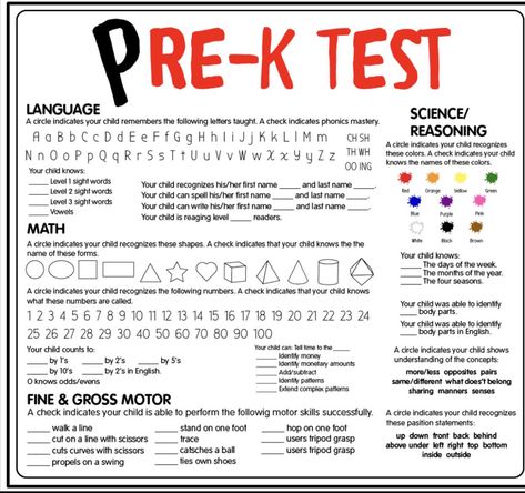 Pre K Home School Set Up, Daycare Teacher Essentials, How To Teach Preschool At Home, Pre K At Home Activities, Preschool Syllabus, Pre K Homeschool Curriculum, Getting Ready For Kindergarten, Pre K Lesson Plans, Preschool Binder