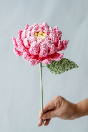 Crochet Dahlia, Crochet Spring Patterns, Cottagecore Crochet, Diy Crochet Flowers, Crochet Rose Pattern, Crochet Kits, Crochet Flowers Easy, Crochet Flowers Free Pattern, Crochet Bouquet