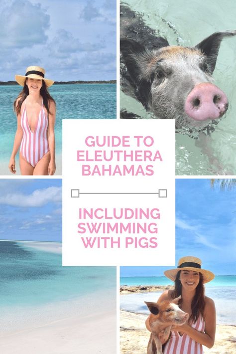 Guide to Eleuthera Bahamas Bahamas Eleuthera, Swimming With Pigs, Pink Sand Beaches, Pig Beach, Bahamas Honeymoon, Baha Mar, Eleuthera Bahamas, Bahamas Travel, Bahamas Vacation