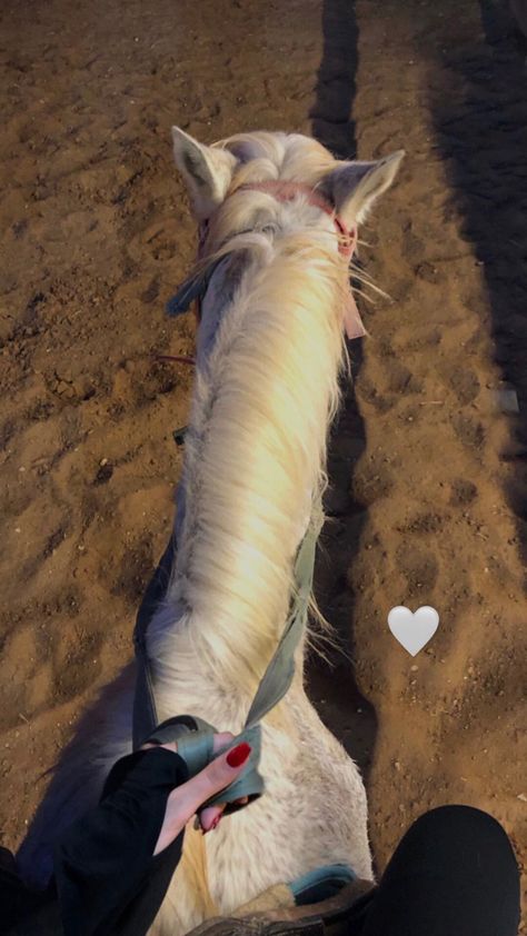 Horses horse stables nails red Horsey Life, Pictures With Horses, Horseback Riding Outfits, Dubai Aesthetic, Horse Inspiration, Horse Wallpaper, Horse Aesthetic, Most Beautiful Horses, Cute Horses