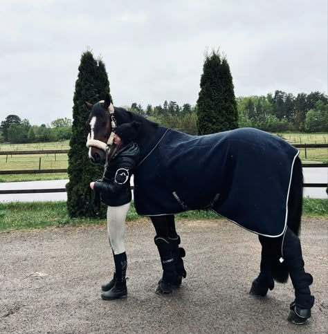 Horse Selfie, Kep Helmet, Horse Transport, Equestrian Horses, Horsey Life, Horse Riding Aesthetic, Equestrian Outfit, Horse Competition, Show Jumping Horses