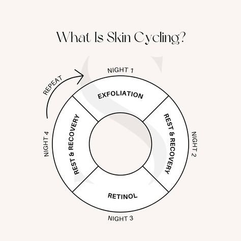 💖 Skincare reminder 59: 👉 Give your skin the break it deserves! 🌿🌸 Skin cycling is the secret to a healthy skincare routine. By alternating powerful active ingredients with soothing rest days, you can aid the growth and repair cycle of your skin. Embrace this rejuvenating practice for a radiant complexion! ✨💆‍♀️ #SkinCycling #HealthySkin #GrowthAndRepair . . . . #skincareforeveryone Skincare Reminder, Skin Cycling, Healthy Skin Care Routine, Cycling For Beginners, Brightening Skincare, Facial Steaming, Night Time Skin Care Routine, Morning Skincare, Morning Skin Care Routine