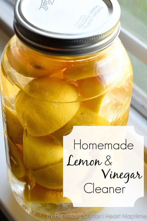 Homemade Lemon Vinegar Cleaner - This DIY natural cleaner, using every day ingredients, is INCREDIBLY easy to make. Lemon Vinegar Cleaner, Natural Cleaners Diy, Lemon Cleaning, Lemon Vinegar, Vinegar Cleaner, Vinegar Uses, Cleaner Recipes, Homemade Cleaning Products, Natural Cleaners