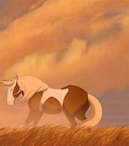 Rain Spirit, Spirit Horse Movie, Spirit Stallion Of The Cimarron, Spirit And Rain, Spirit The Horse, Rain Gif, Spirit Stallion, Horse Movies, Horse Boarding