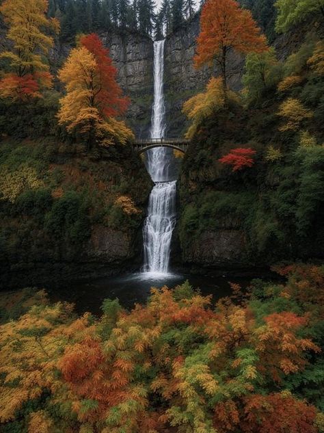 OThingstodo (@othingstodo_com) on X Destination Imagination, Multnomah Falls, Oregon Coast, Oregon, Natural Beauty, Places To Visit, Favorite Places, California, In This Moment