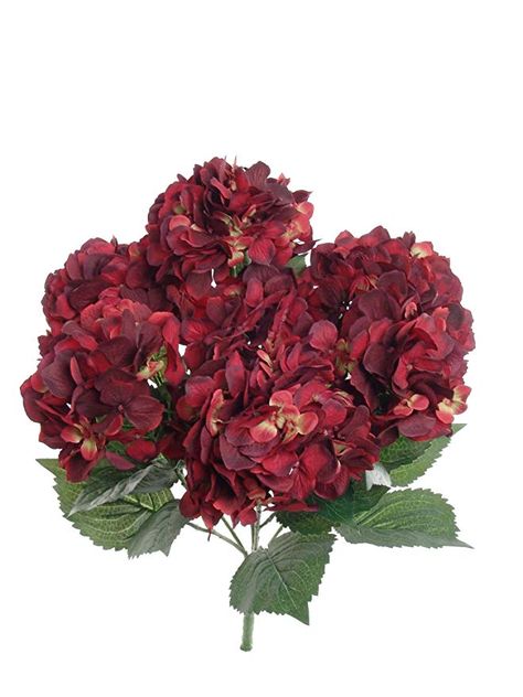 Amazon.com: Burgundy Hydrangea Silk Flowers Plant | Artificial Hydrangeas Shrub with 7 Large Gorgeous Mophead Bloom Clusters, Leaves, Stems | Home Decor, Wedding, Centerpiece, Bouquets, Garden Bush: Gateway Burgundy Hydrangea, Hydrangea Bloom, Hydrangea Centerpiece, Hydrangea Bush, Faux Hydrangea, Flowers For Sale, Hydrangea Not Blooming, Silk Hydrangeas, Artificial Hydrangeas