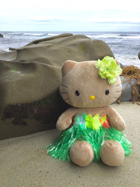 Hawaii Hello Kitty, Hawaiian Hello Kitty, Hello Kitty Build A Bear, Tan Hello Kitty, Kitty Plush, Hello Kitty Plush, Build A Bear, Hawaii, Hello Kitty