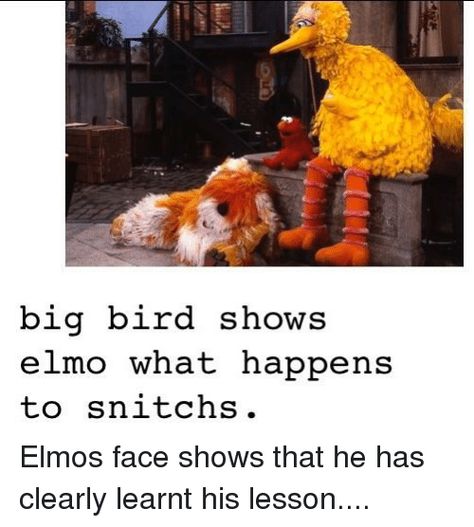 Big Bird Meme, Elmo Memes, Sesame Street Memes, Very Funny Memes, Dark Jokes, Dark Memes, Crazy Funny Memes, Big Bird, Very Funny