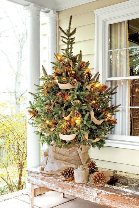 An adorably miniature Christmas tree on the porch? We'll take two! Click here for this rustic piece of decor. #minitree #christmasdecor #rusticdecor Small Christmas Tree, Christmas Rustic, Elegant Christmas Trees, Country Christmas Decorations, Country Holiday, Diy Christmas Decorations, Christmas Porch Decor, Tabletop Christmas Tree, Christmas Tree Garland