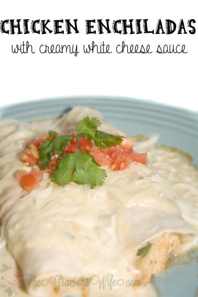 Chicken Enchiladas with creamy white cheese sauce. A traditional chicken enchilada recipe smothered in ooey-gooey melty cheese sauce! From TheGraciousWife.com #recipe Enchiladas Potosinas, White Sauce Enchiladas, White Cheese Sauce, Enchiladas Chicken, Chicken Enchiladas Recipe, Green Chile Chicken Enchiladas, Enchilada Recipe, Enchiladas Recipe, Cheese Enchiladas