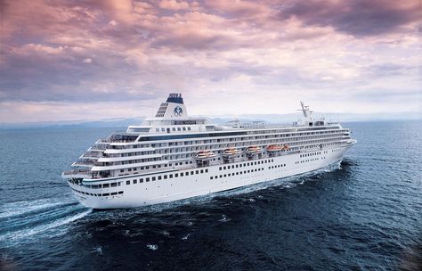 Cruise Line Adds No Handshake Policy Antarctica Cruise, Crystal Cruises, Luxury Cruise Ship, Honeymoon Vacations, Best Cruise, Luxury Cruise, Shore Excursions, Caribbean Cruise, Royal Caribbean