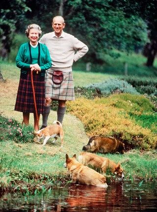 Queen Elizabeth Photos, Young Queen Elizabeth, Rainha Elizabeth Ii, Queen E, Hm The Queen, Royal Family England, Reine Elizabeth, Elisabeth Ii, British Royal Families