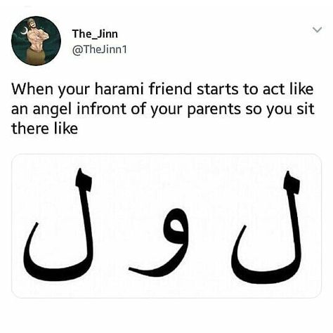 Funny Muslim Memes, Islamic Jokes, Islamic Funny, Arab Jokes, Muslim Jokes, Halal Mode, Laugh Till You Cry, Muslim Memes, Desi Quotes