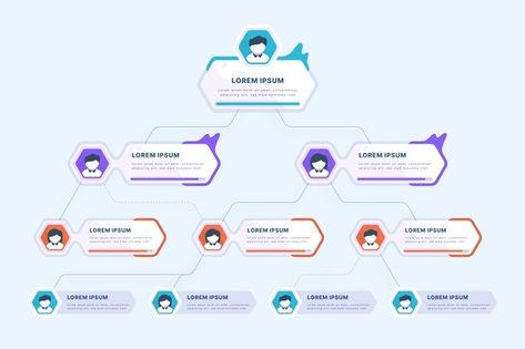 Organizational chart infographic | Free Vector #Freepik #freevector Chart Organization Design, Roadmap Infographic, Content Infographic, Business Infographic Design, Timeline Infographic Design, Real Estate Infographic, Chart Infographic, Process Infographic, Organization Chart