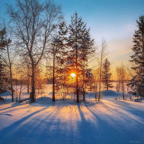 Lanscape Photoshoot Aesthetic, Snow Photoshoot, Canvas Wall Art Living Room, Photoshoot Aesthetic, Painting Snow, Dawn And Dusk, Winter Sunset, Mountain Life, Winter Wonder