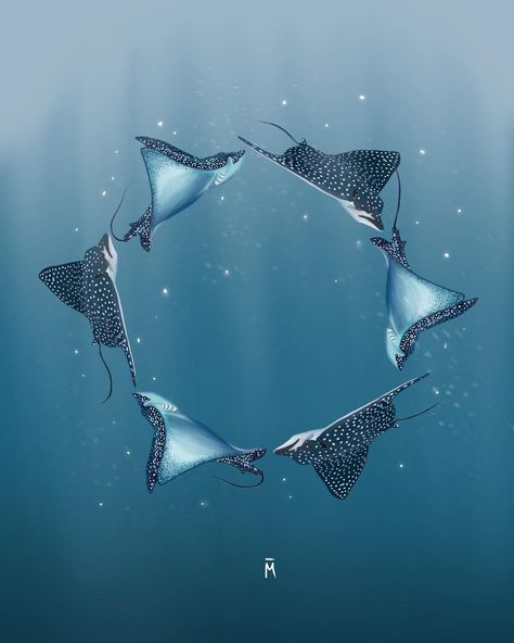 MON on Instagram: “All aboard the spotty eagle ray train 😅 I miss seeing these little rays 💙 . . . #illustration #art #illustrator #artist #diving…” Eagle Ray Drawing, Ray Drawing, Skate Fish, Manta Ray Art, Ocean Patterns, Ocean Sleeve Tattoos, Underwater Drawing, Ocean Sleeve, Sting Rays