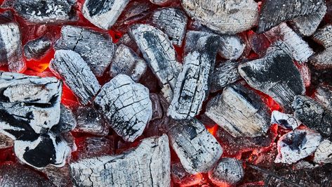 How to Work the Vents and Lid of Your Grill: A Quick, Necessary Explainer | Bon Appétit One Bite Appetizers, Best Gas Grills, Best Charcoal Grill, Lump Charcoal, Charcoal Briquettes, Portable Charcoal Grill, Kettle Grills, Best Charcoal, Propane Grill