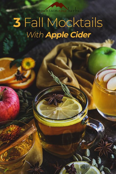 3 Alcoholic-Free Drinks for Fall: As summer is waning, we’re getting excited for newly pressed apple cider and also fall mocktails. Autumn in western Oregon brings a range of weather and temperatures, so to cover all our mocktail bases, we’ve pulled out the stops with three new cider-based recipes: two that are wonderfully refreshing for those warmer afternoons and one to help you cozy-up when there’s a chill in the air. Enjoy! Mocktails For Fall, Drinks For Fall, Cider Cocktail Recipes, Tea Blends Recipes, Spice Combinations, Hard Apple Cider, Dried Orange Peel, Warm Apple Cider, Mountain Rose Herbs