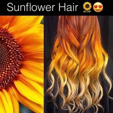 Sunflower Lovers | 🧡💛🌻 | Facebook Sunflower Hair Color, Sunflower Hair, Dye Colors, Hair Dye Colors, Hair Dye, Blonde Hair Color, Dyed Hair, Hair Ideas, Blonde Hair