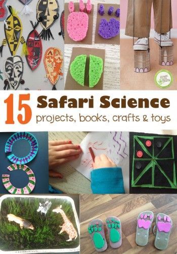 15 safari science activities for kids. A round up of projects, books, crafts, and toys. Perfect for a jungle themed unit or a science station. Jungle Theme Activities, Safari Science, Preschool Jungle, Jungle Activities, Safari Crafts, Jungle Classroom, Jungle Crafts, Safari Activities, Science Centers