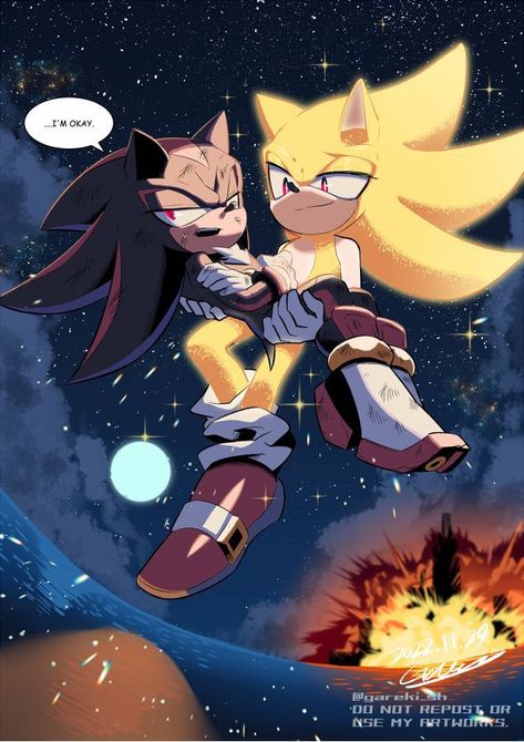 Sonic X Shadow Fanart, Sonic Shadow, Sonic Videos, Shadow Sonic, Hedgehog Movie, Sonic Heroes, Sonic And Amy, Sonic Funny, Sonic Fan Characters