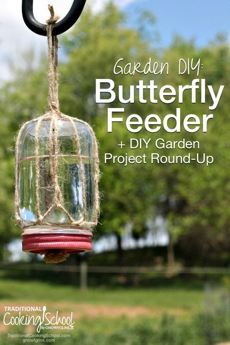 Butterfly Nectar Recipe, Butterfly Feeder Diy, Butterfly Food, Butterfly Feeders, Butterfly Feeder, Hummingbird Garden, Diy Butterfly, Have Inspiration, Memorial Garden