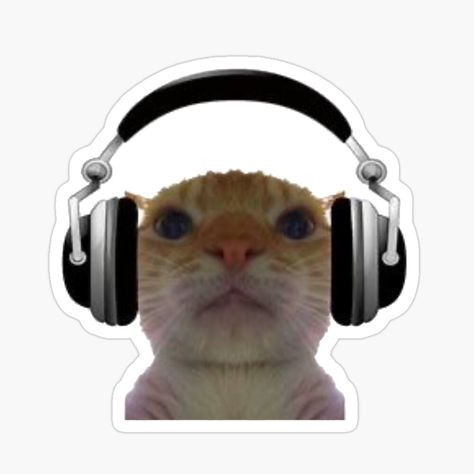 Funny Cats Stickers, Swag Stickers, Cat Wearing Headphones, Memes Stickers, Funny Cat Stickers, Headphones Sticker, Sticker Funny, Cute Funny Stickers, Cat With Headphones