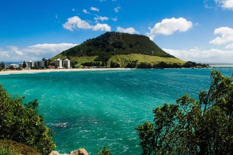 Land Sailing, Tauranga New Zealand, New Zealand Beach, New Zealand Adventure, Mount Maunganui, Cheapest Flights, Visit New Zealand, New Zealand North, Air New Zealand