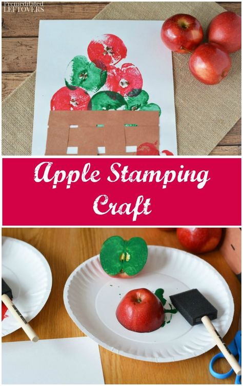 Fall Time Preschool Crafts, Harvest On The Farm Crafts, Apple Star Stamping Craft, Easy Toddler Fall Activities, No Prep Crafts For Preschoolers, Fall Preschool Themes Ideas, Apple Themed Toddler Activities, Apples Art Preschool, Harvest Theme Preschool Crafts