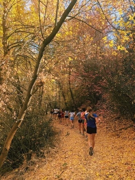 Running Fall Aesthetic, Fall Cross Country, Running Autumn Aesthetic, Running In Fall Aesthetic, Cross Country Aesthetic Fall, Autumn Running Aesthetic, Autumn Workout Aesthetic, Running Cross Country, Running Trail Aesthetic