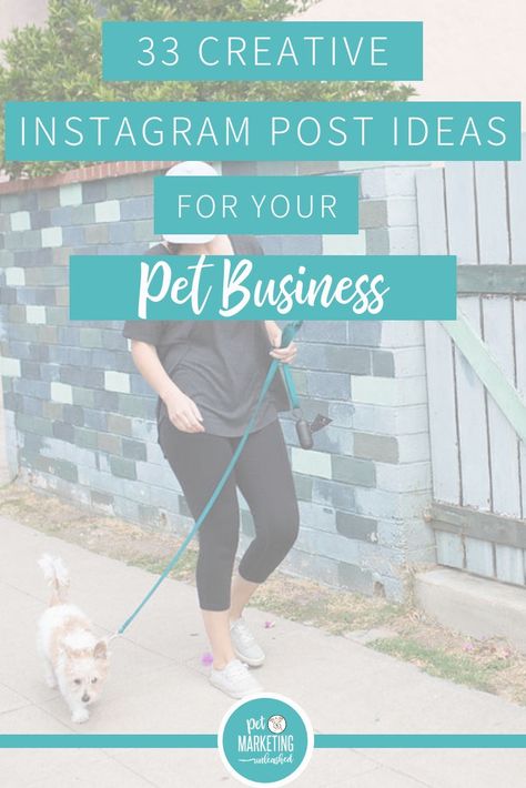 33 Creative Instagram Post Ideas For Your Pet Business Dog Posts Instagram, Dog Blog Post Ideas, Pet Instagram Ideas, Dog Instagram Post Ideas, Dog Business Ideas, Ideas For Instagram Posts, Pet Marketing, Dog Breeding Kennels, Dog Sitting Business