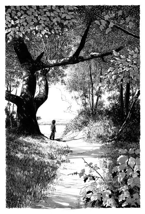 Related image Tree Ink Illustration, Black And White Landscape Illustration, Ink Landscape Drawing, Path In The Woods, Arte Peculiar, Pen Art Drawings, Landscape Sketch, Perspective Art, Landscape Drawings