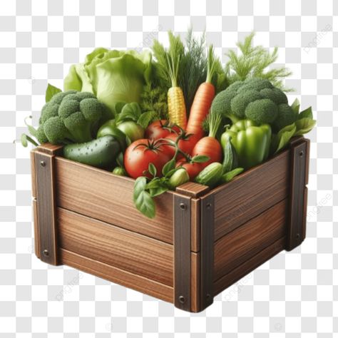 wooden crate filled with vegetables design image and clipart wooden crate filled with vegetables d Fruit Drawing, Vegetable Design, Transparent Image, Wooden Crates, Design Image, Wooden Crate, Illustration Artwork, Png Transparent, Image Design