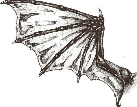 Tattoo Ideas Drawings, Types Of Wings, Alas Tattoo, Wings Sketch, Wing Tattoos, Tattoo Son, Dragon Wing, Demon Wings, Wing Tattoo Designs