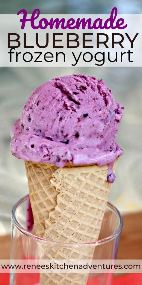 Wild Blueberry Recipes, Homemade Frozen Yogurt Recipes, Blueberry Frozen Yogurt, Yogurt Substitute, Frozen Yogurt Blueberries, Homemade Frozen Yogurt, Frozen 3, Frozen Yogurt Recipes, Healthy Ice Cream Recipes